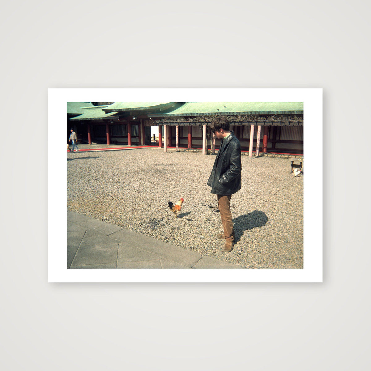 Cocks and Coxon — A3 (42×30cm, 17×12") Print only