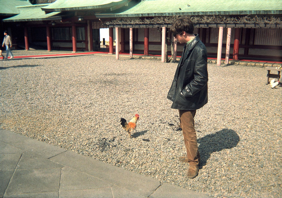 Cocks and Coxon